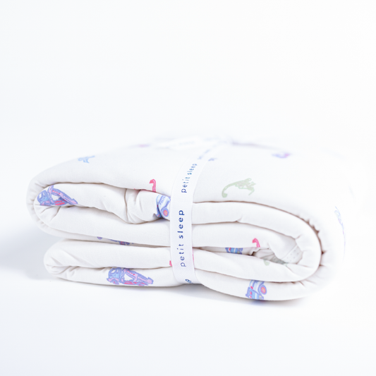 Blanket - Planes, Trucks & Dinos