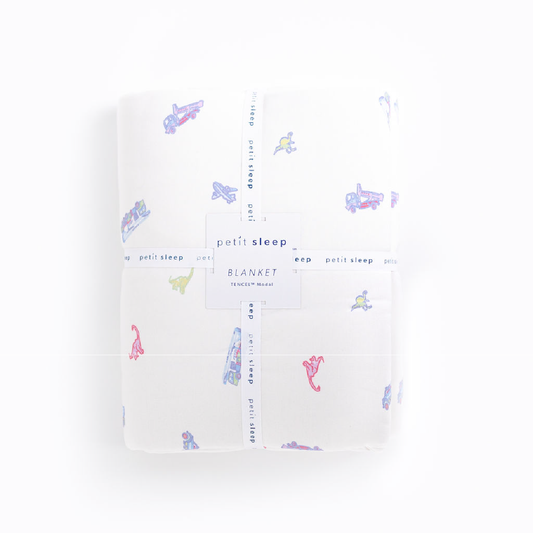 Blanket - Planes, Trucks & Dinos